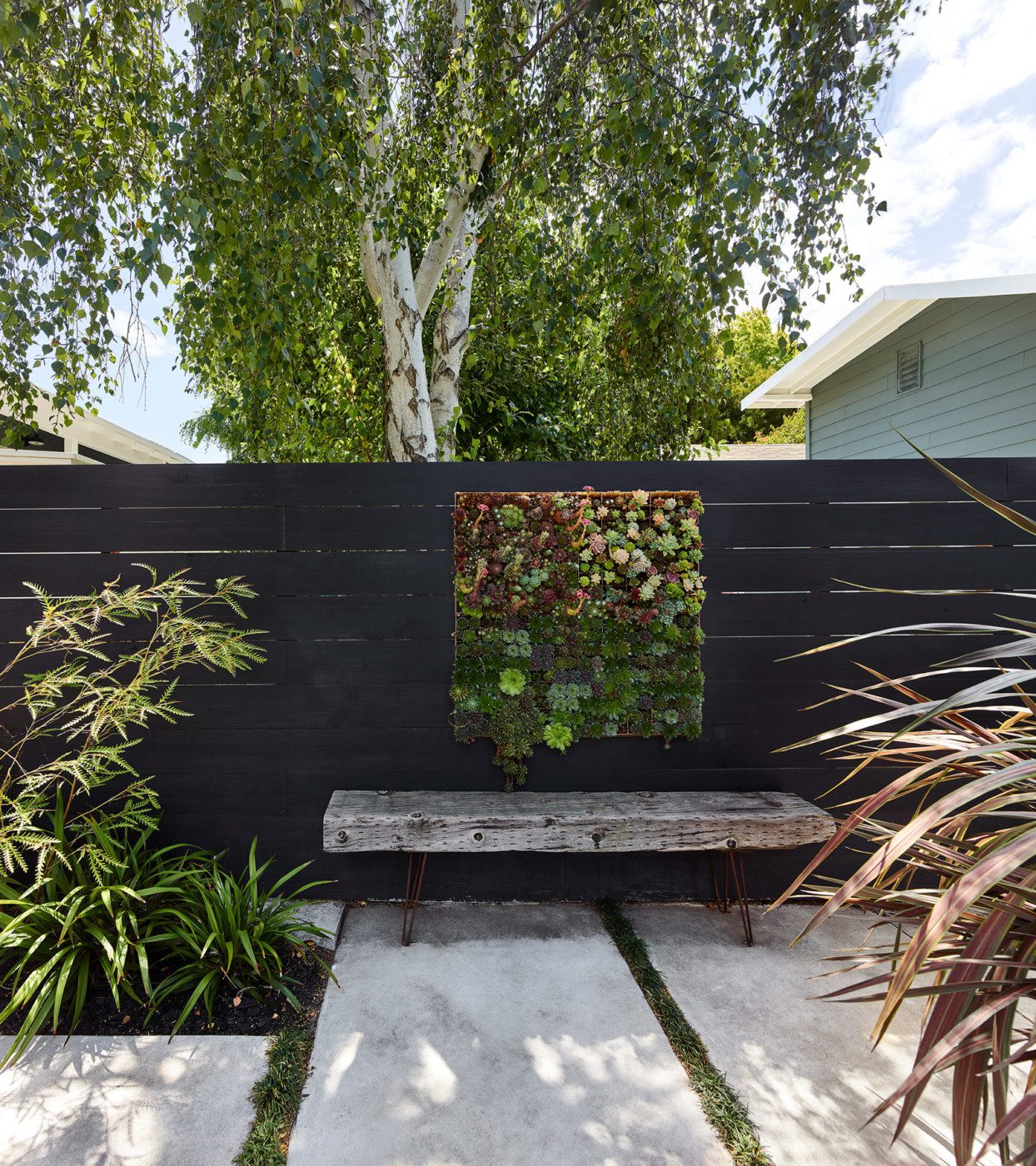 green wall and rustic bench in exterior craftsman expansion in Alameda, CA